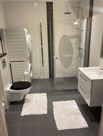 Nyrenoverad Lagenhet Åhus Exterior foto